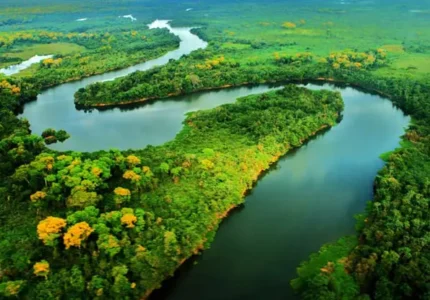 A CONSCIÊNCIA E A DEFESA DO MEIO AMBIENTE